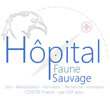 Projet : Hôpital Faune Sauvage - Centre France - Home | Facebook